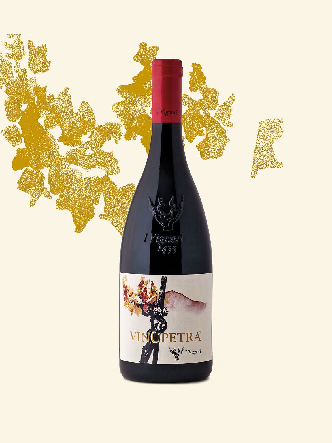 I vigneri di Salvo Foti