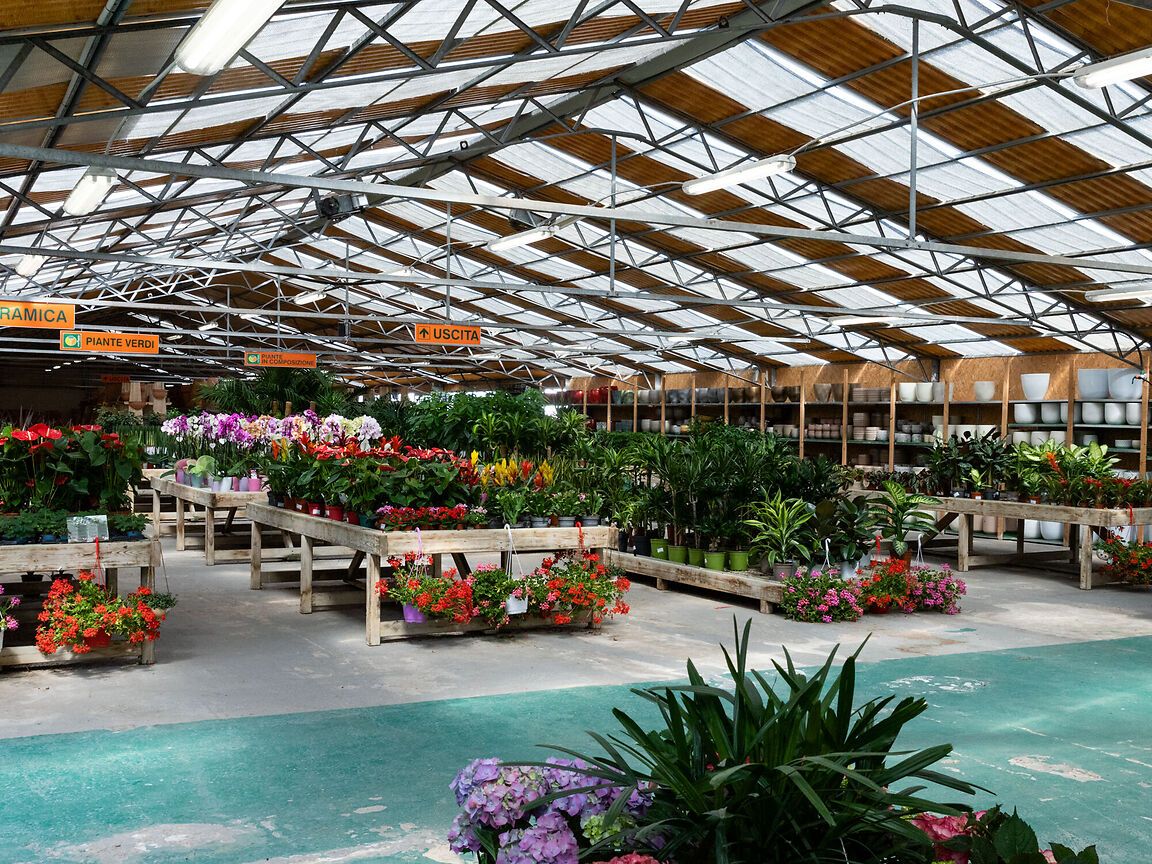 Pisano Garden Center