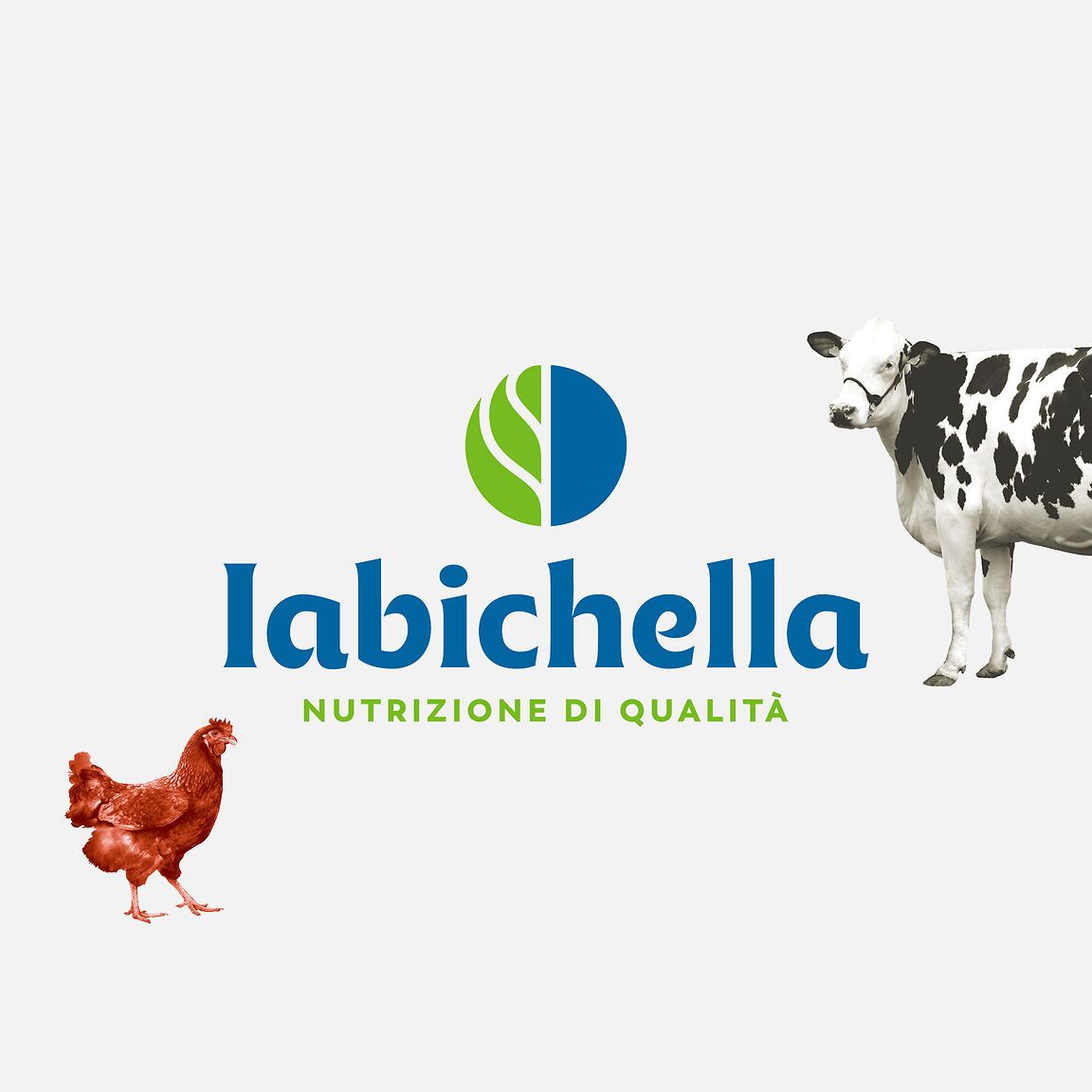 Rebranding per Mangimi Iabichella