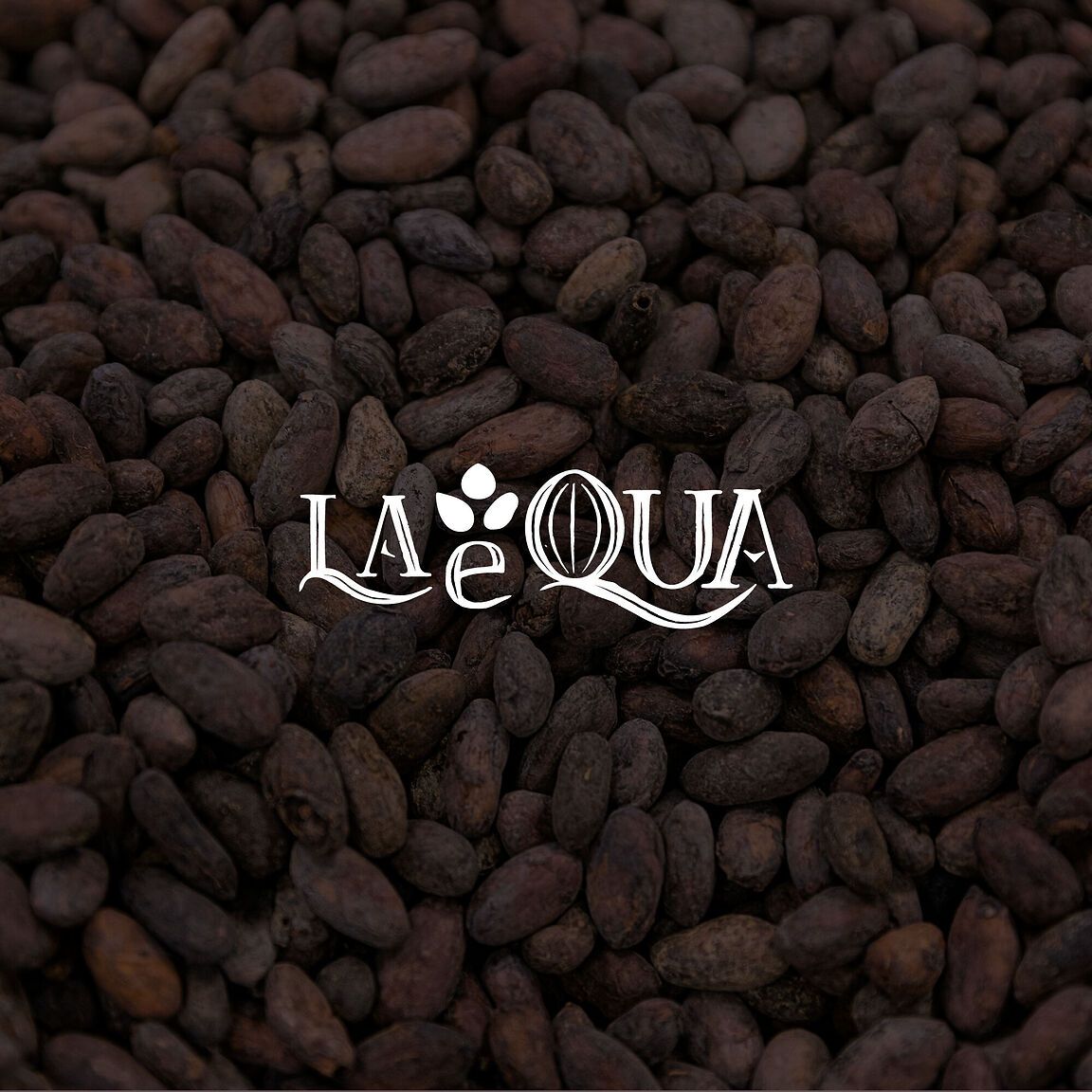 Logo design per LAeQUA