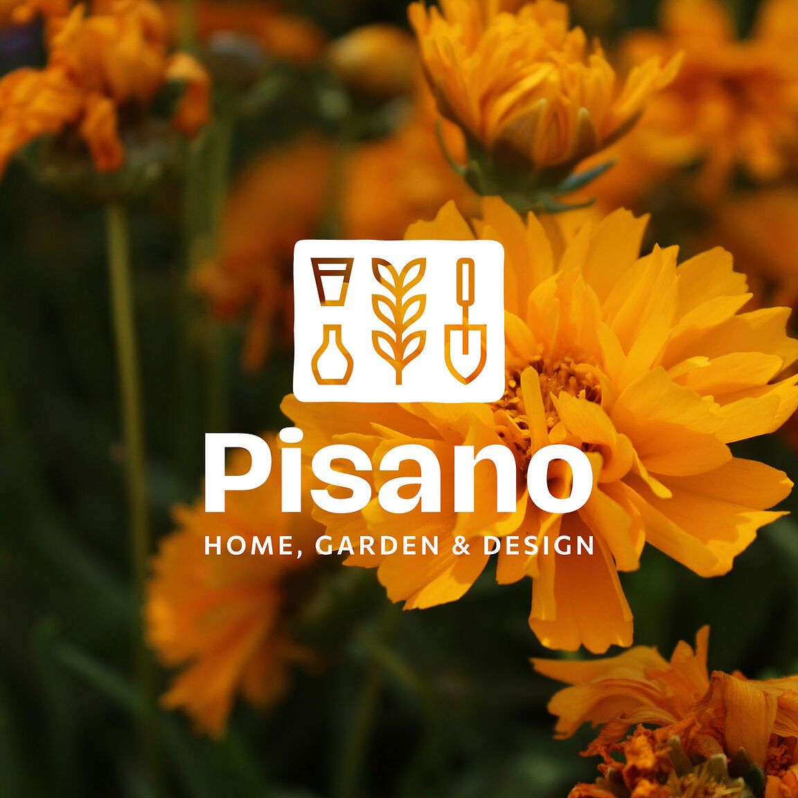 Sito web e-commerce per Pisano Garden Center
