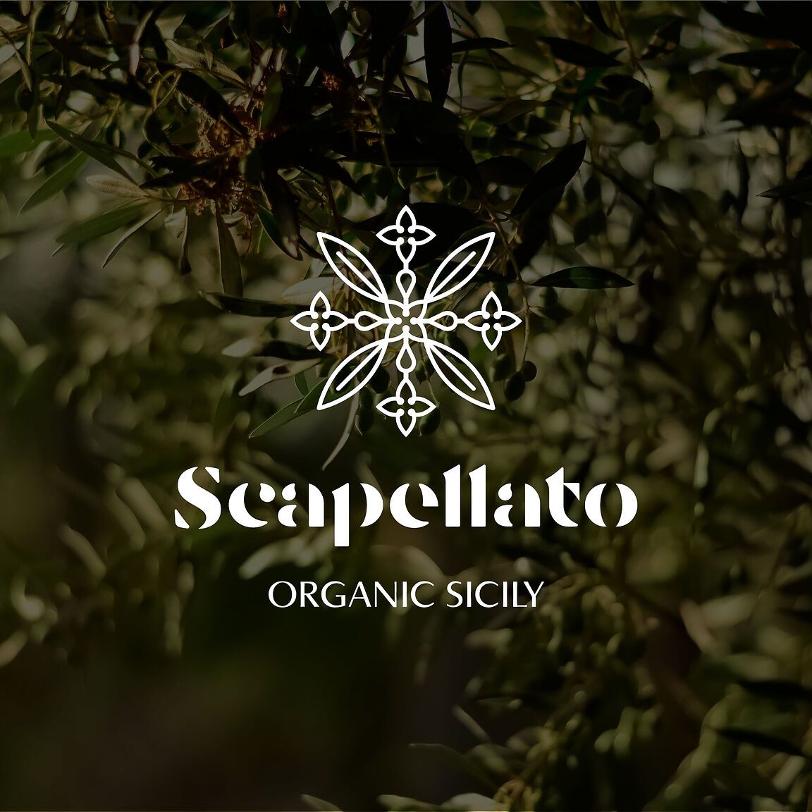 Brand identity per Scapellato - Organic Sicily