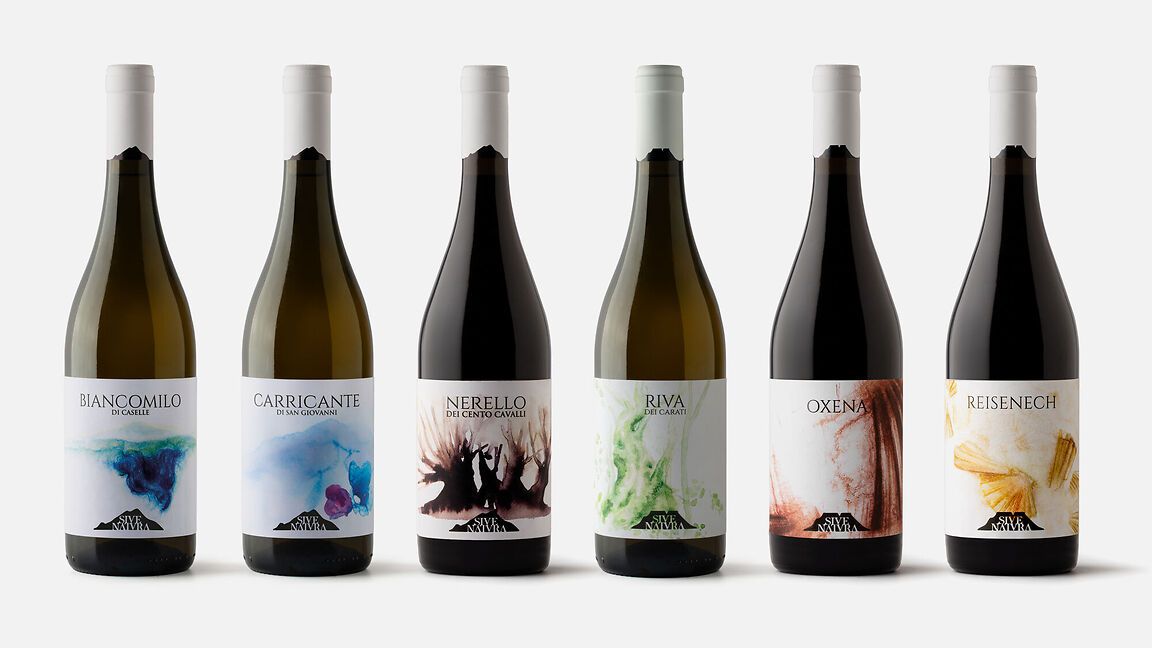 Packaging design vini Sive Natura