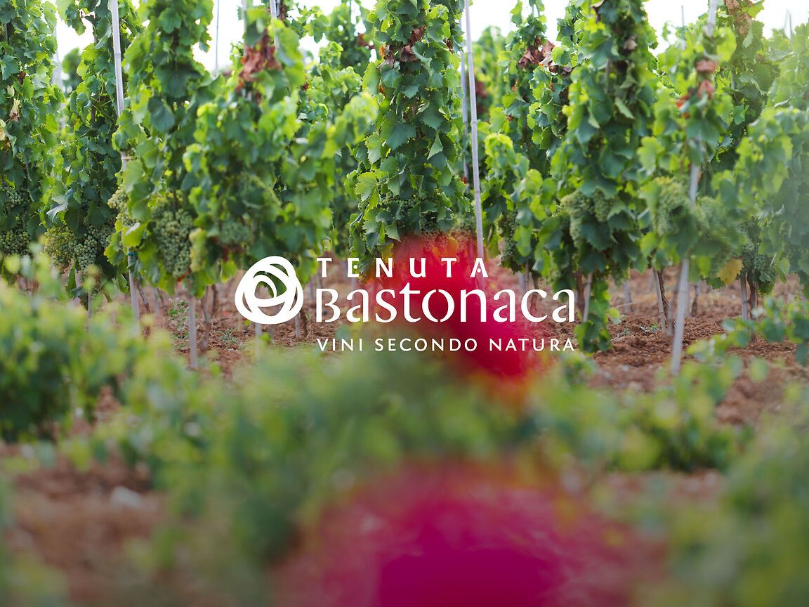 Brand identity per Tenuta Bastonaca